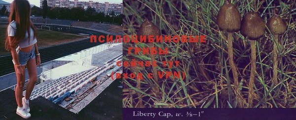 гашик Абаза