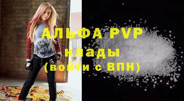 гашик Абаза